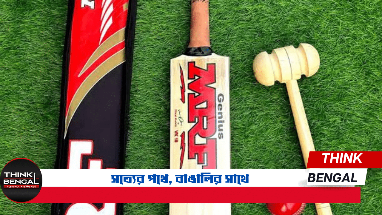 Price of bats used in international cricket: from 50,000 to 10 lakh rupees