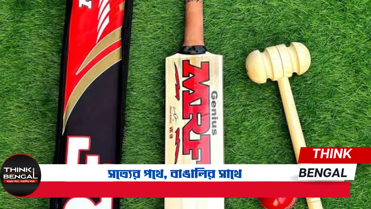 Price of bats used in international cricket: from 50,000 to 10 lakh rupees