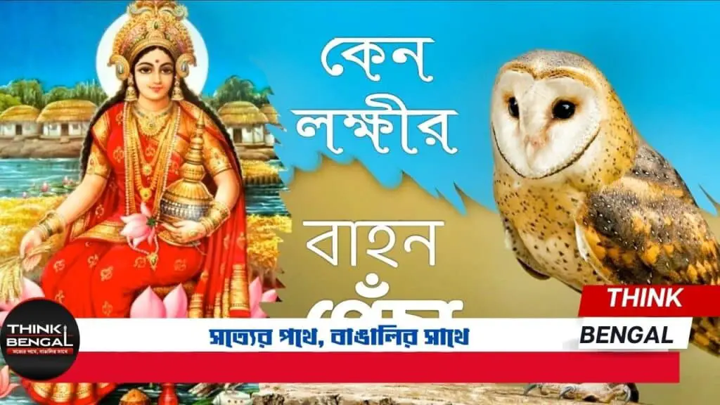 Why is the owl the vehicle of Lakshmi
