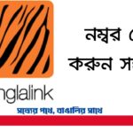 Banglalink Number Check