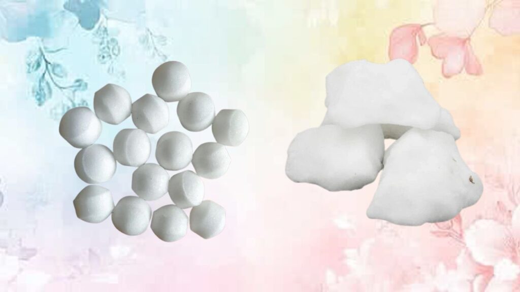 Camphor vs Naphthalene