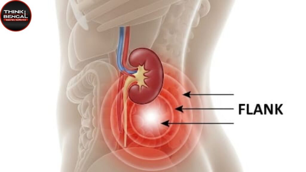 Kidney Pain Area