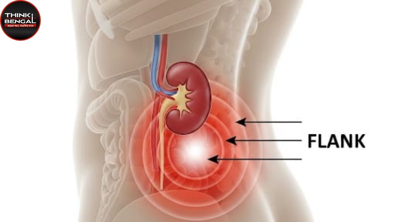 Kidney Pain Area