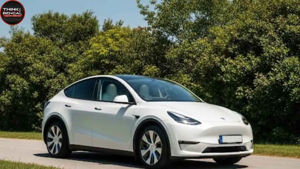 Tesla Model Y Price Specification Update