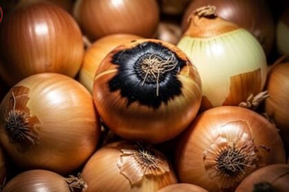 onion black stains prevention guide