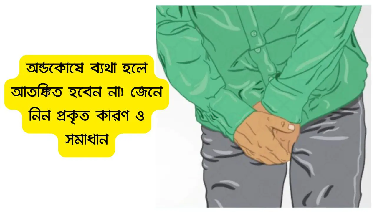 অন্ডকোষে ব্যথা হলে আতঙ্কিত হবেন না! জেনে নিন প্রকৃত কারণ ও সমাধান