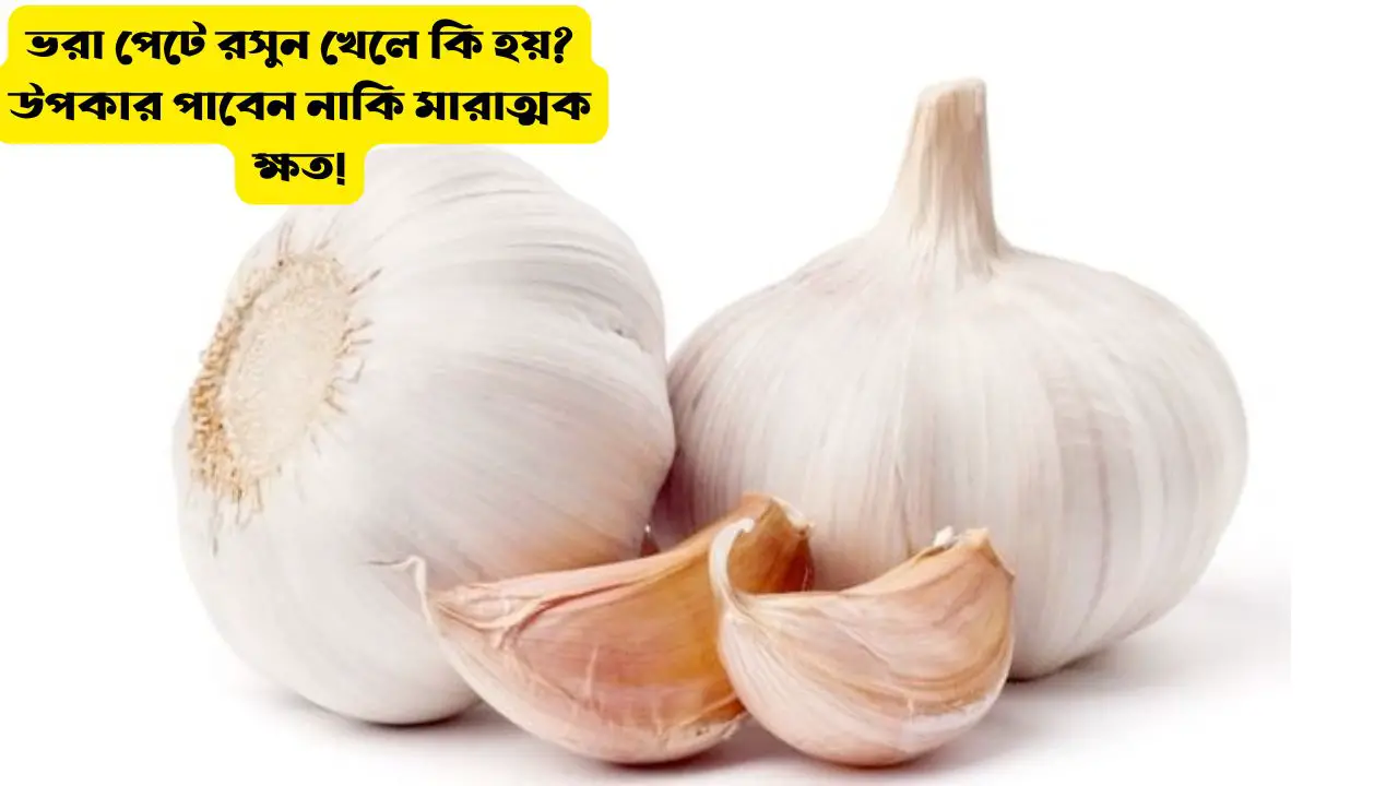 ভরা পেটে রসুন খেলে কি হয়