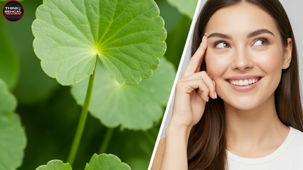 Thankuni pata benefits