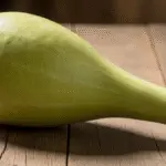 কোন মাসে লাউ খেতে নেই