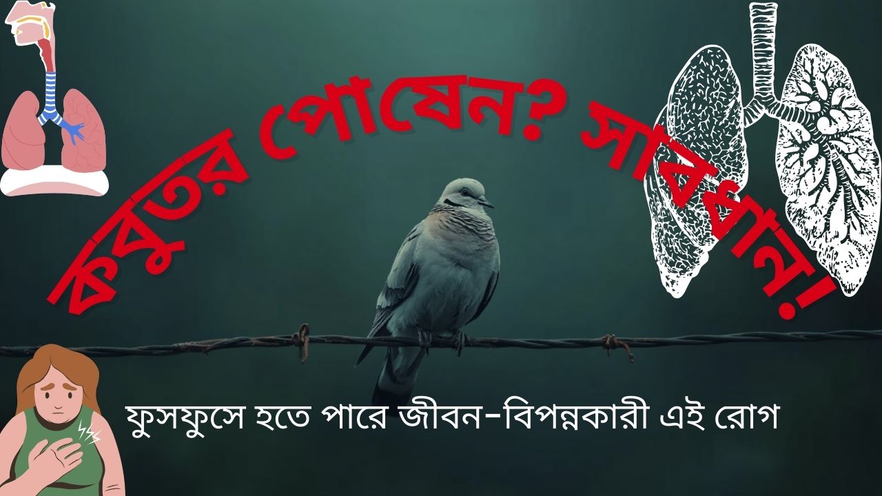 Pigeon Breeder's Lung Disease