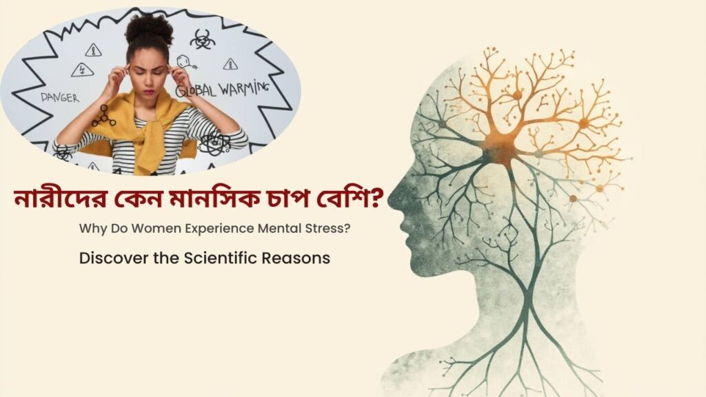 Why Women Experience More Stress