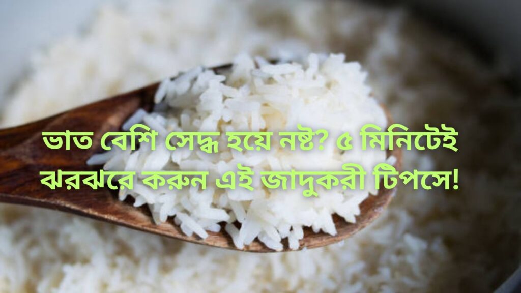 How to Fix Overcooked Mushy Rice