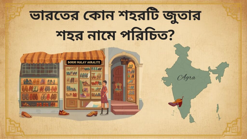 Agra Footwear Capital