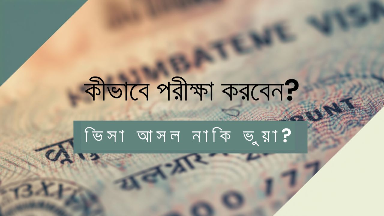 ভিসা অরিজিনাল কিনা কিভাবে বুঝবো