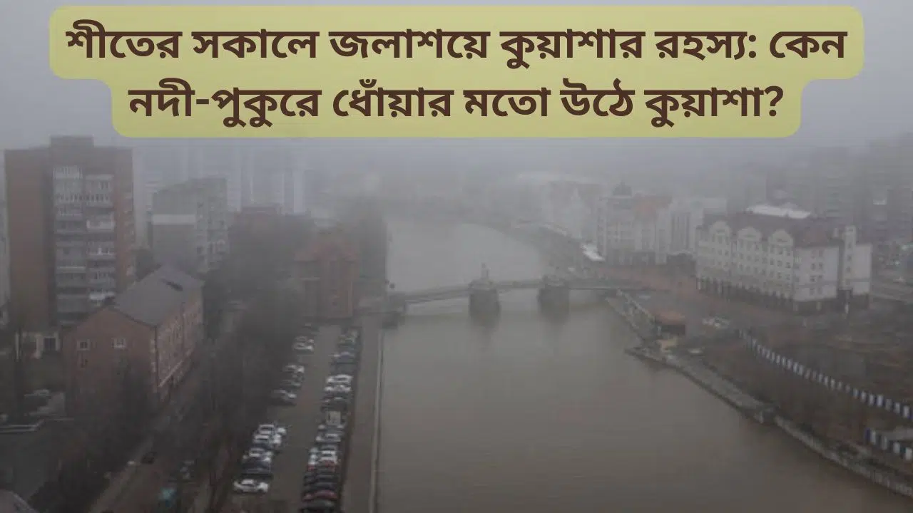 শীতকালে জলাশয়ের উপর কুয়াশা বেশি দেখা যায় কেন